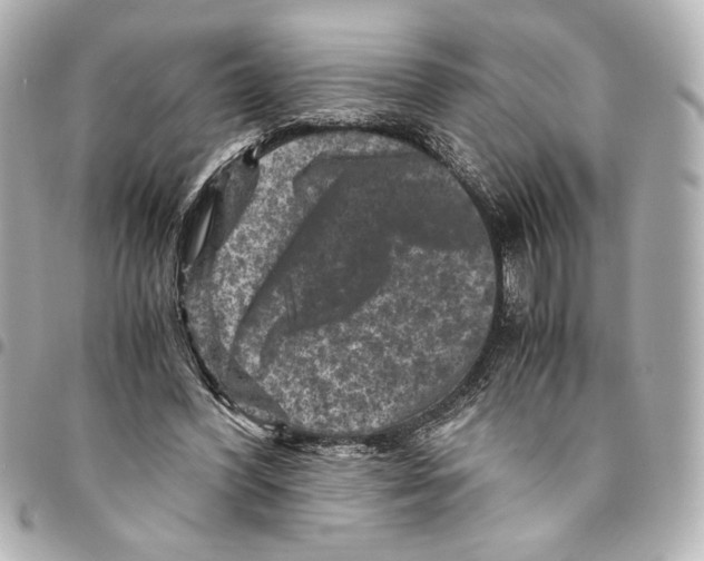 X0000094950396200712271702