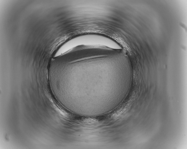 X0000094950397200712271702