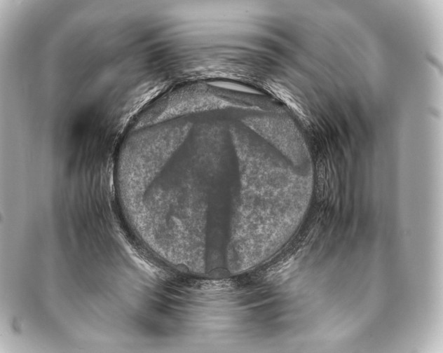 X0000094950398200712271702