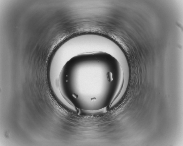 X0000094950399200712271702