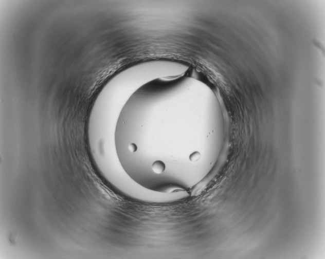 X0000094950401200712271702