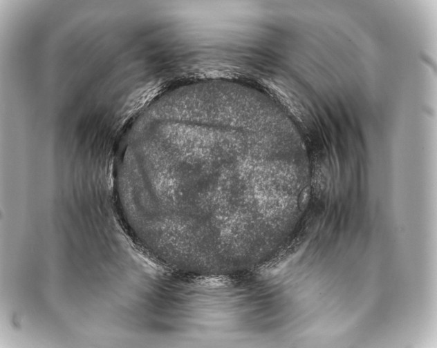 X0000094950402200712271702