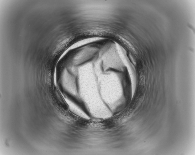 X0000094950403200712271702