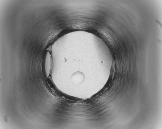 X0000094950404200712271702