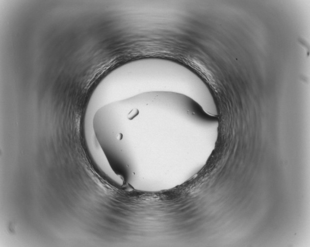 X0000094950405200712271702