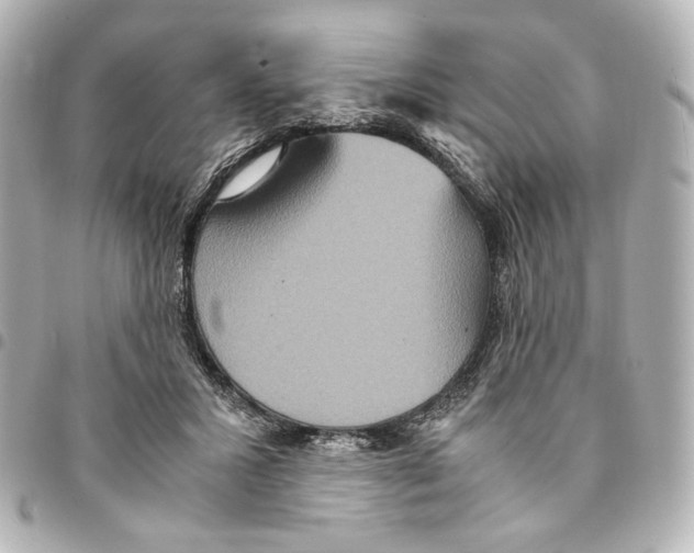 X0000094950407200712271702