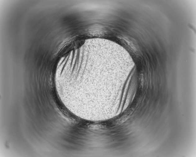 X0000094950408200712271702