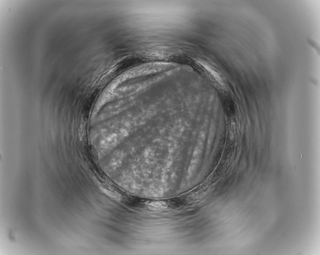 X0000094950409200712271702