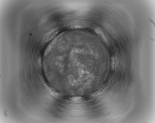 X0000094950410200712271702