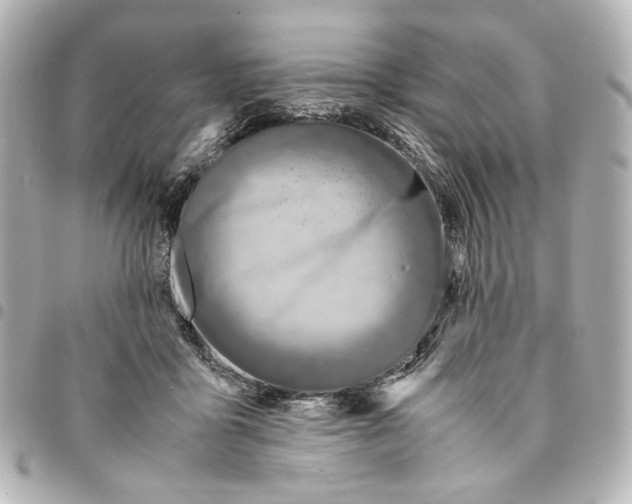 X0000094950411200712271702