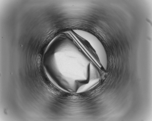 X0000094950412200712271702