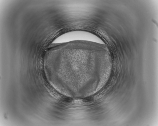 X0000094950413200712271702