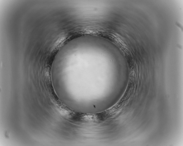 X0000094950415200712271702