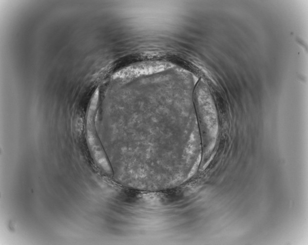 X0000094950417200712271702