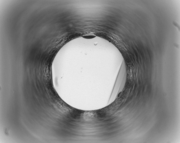 X0000094950418200712271702