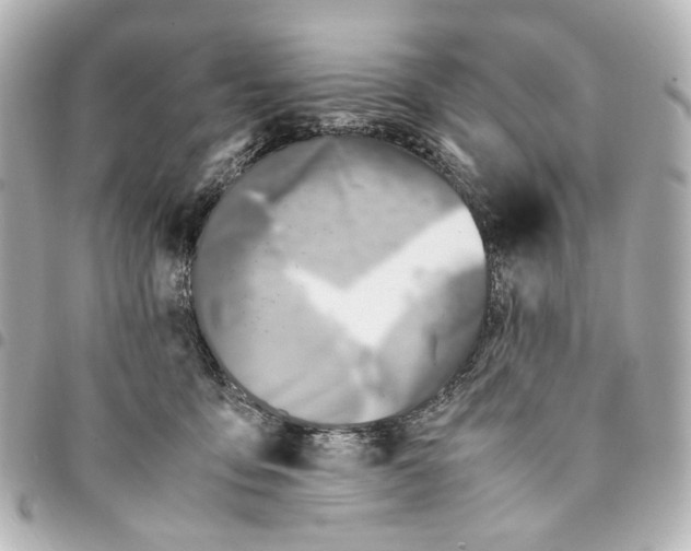 X0000094950419200712271702