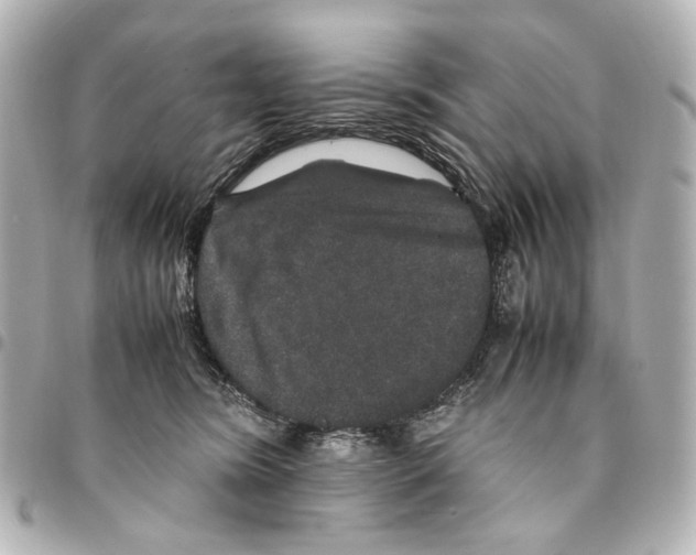 X0000094950420200712271702