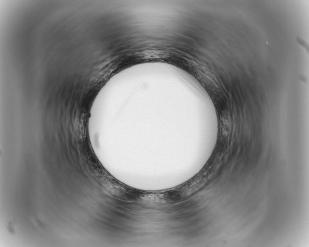 X0000094950422200712271702