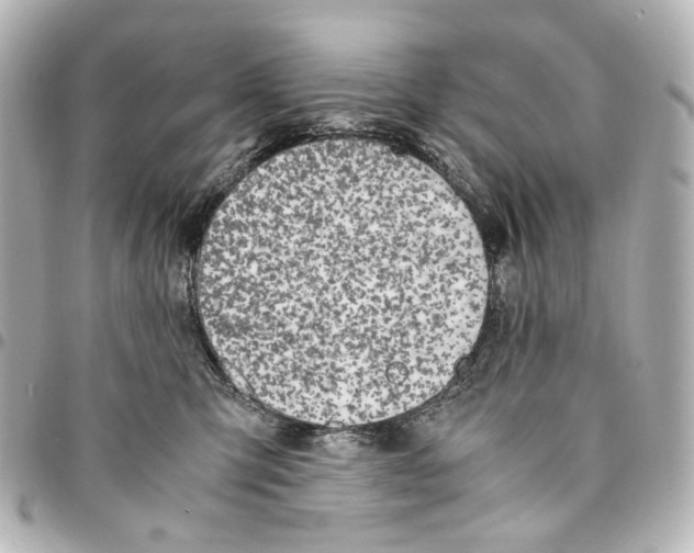 X0000094950423200712271702