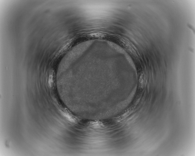 X0000094950424200712271702