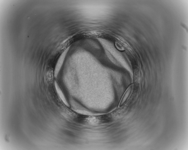 X0000094950425200712271701