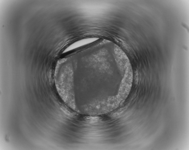 X0000094950428200712271701