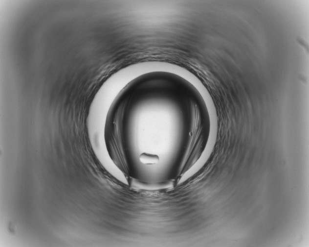 X0000094950429200712271701