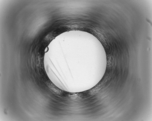 X0000094950430200712271701