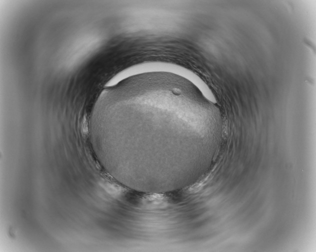 X0000094950431200712271701