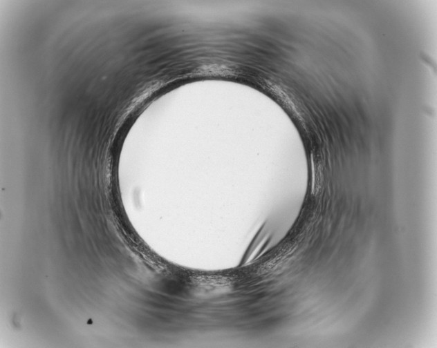 X0000094950435200712271701