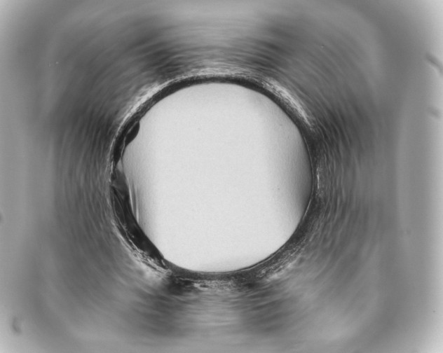 X0000094950436200712271701