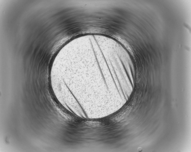 X0000094950437200712271701