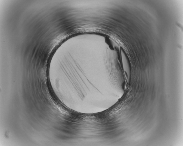 X0000094950438200712271701