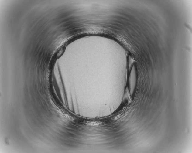 X0000094950440200712271701