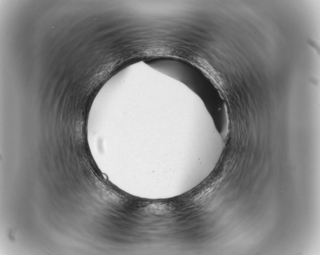 X0000094950441200712271701