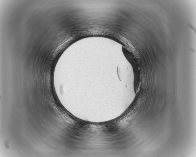 X0000094950442200712271701