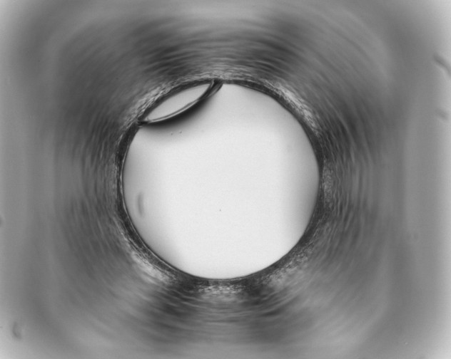 X0000094950445200712271701