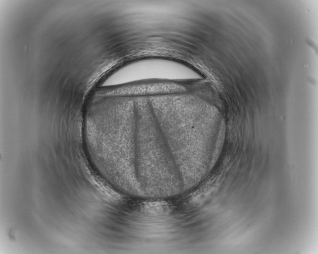 X0000094950446200712271701