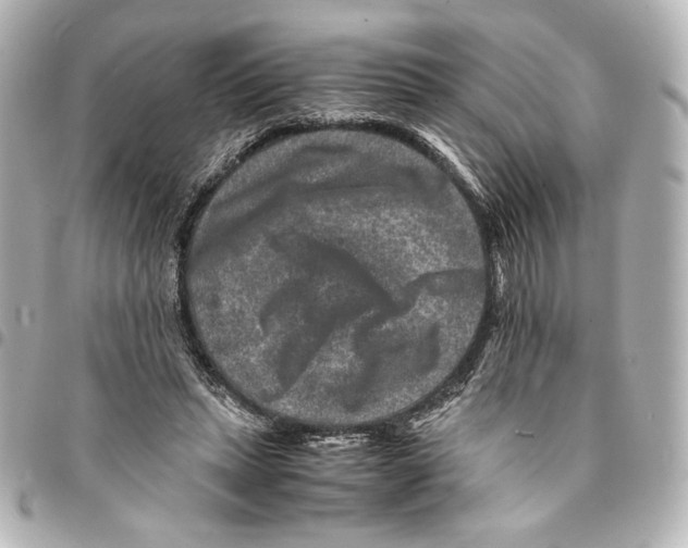 X0000094950447200712271701