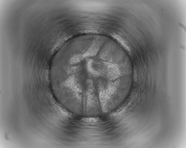 X0000094950449200712271701