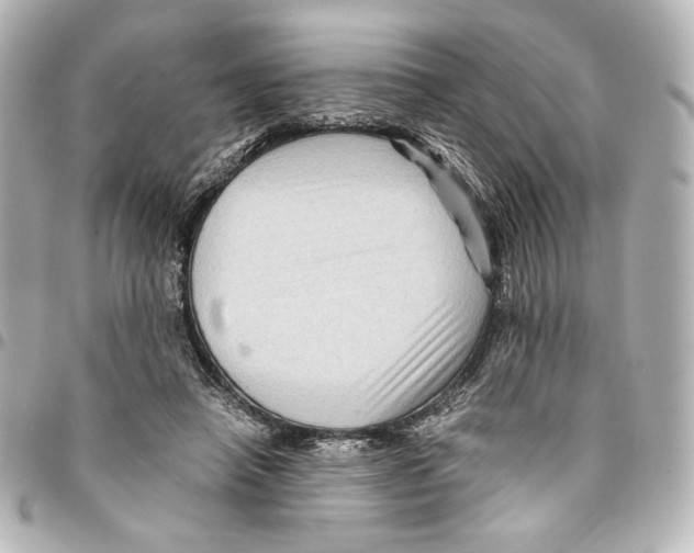 X0000094950450200712271701