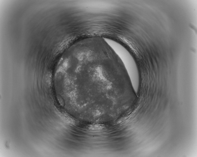 X0000094950451200712271701