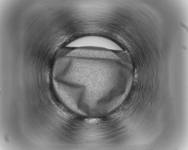 X0000094950452200712271701