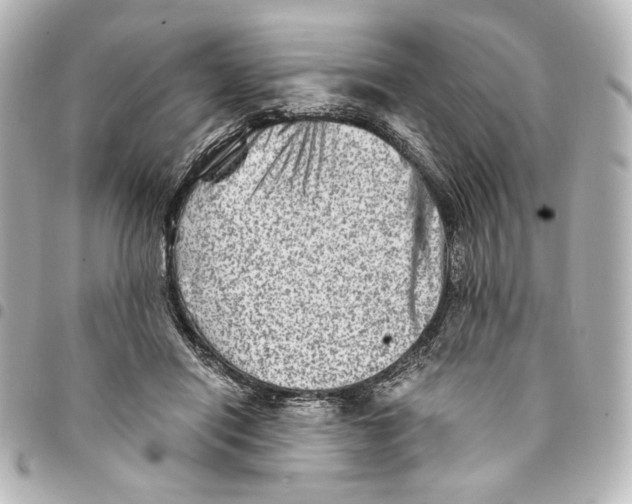 X0000094950454200712271701