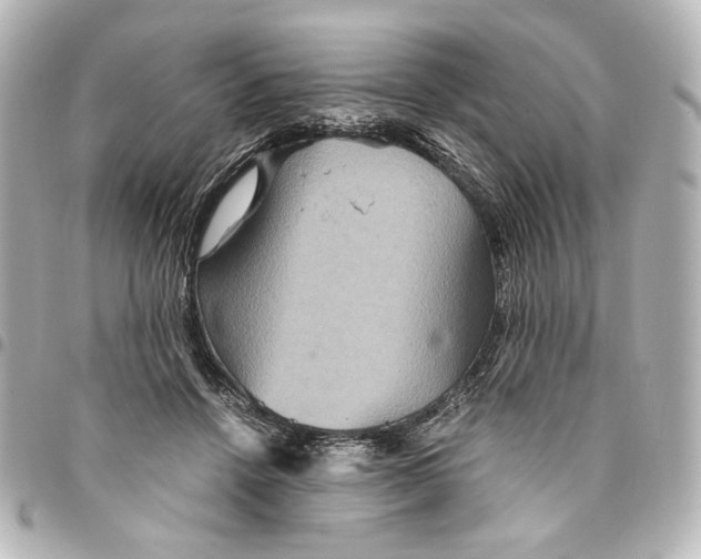 X0000094950456200712271701