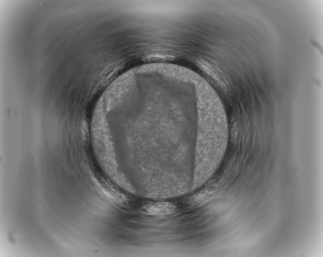 X0000094950459200712271701