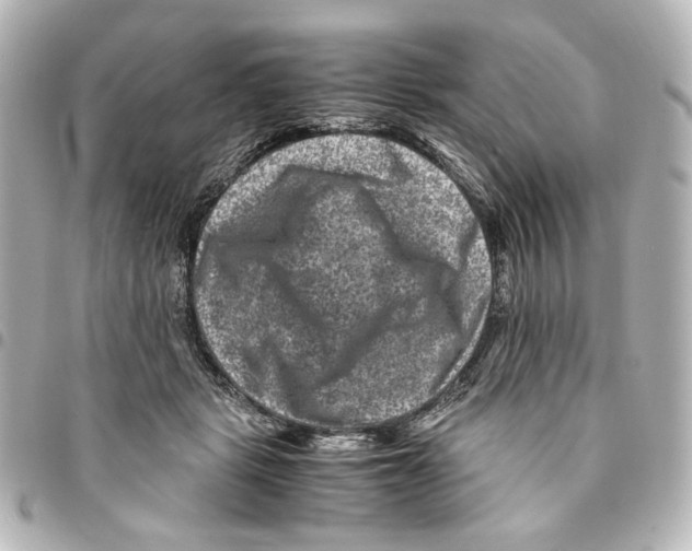 X0000094950461200712271701