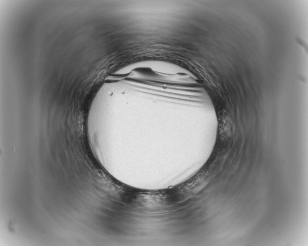 X0000094950466200712271701