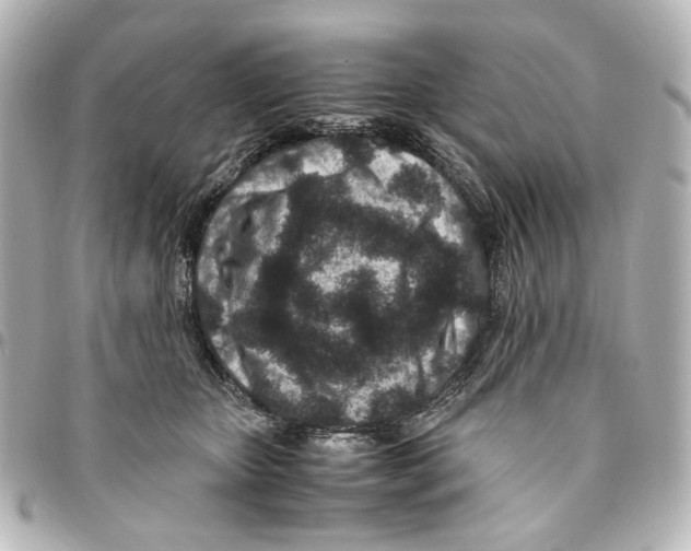 X0000094950467200712271701