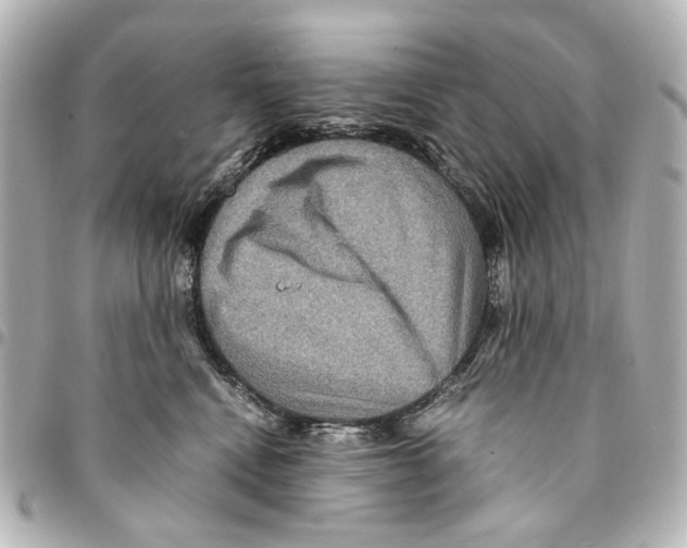 X0000094950472200712271701